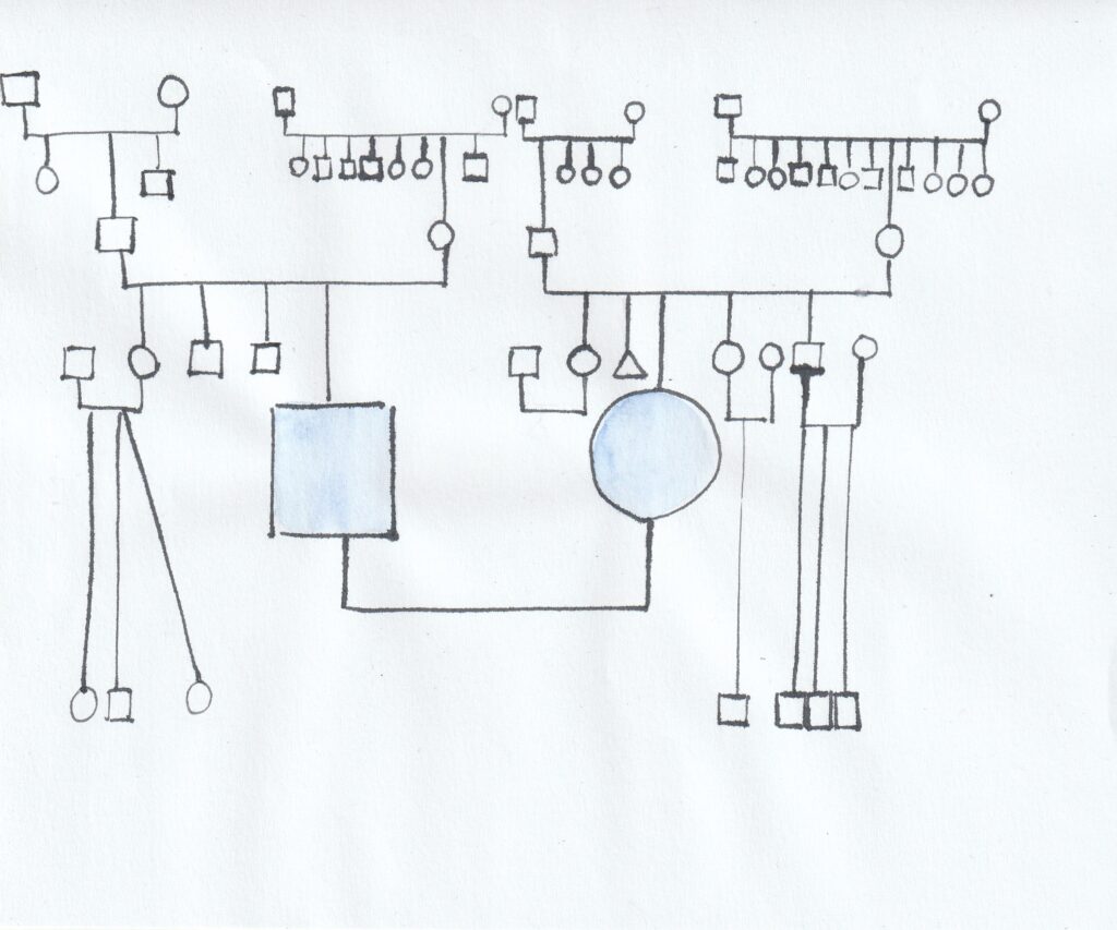 Een voorbeeld van een genogram